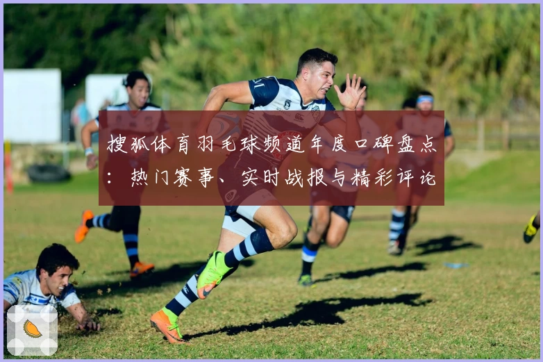 搜狐体育羽毛球频道年度口碑盘点：热门赛事、实时战报与精彩评论全解析