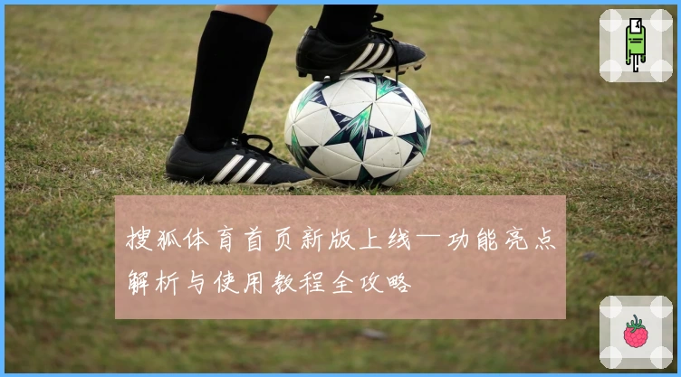 搜狐体育首页新版上线—功能亮点解析与使用教程全攻略