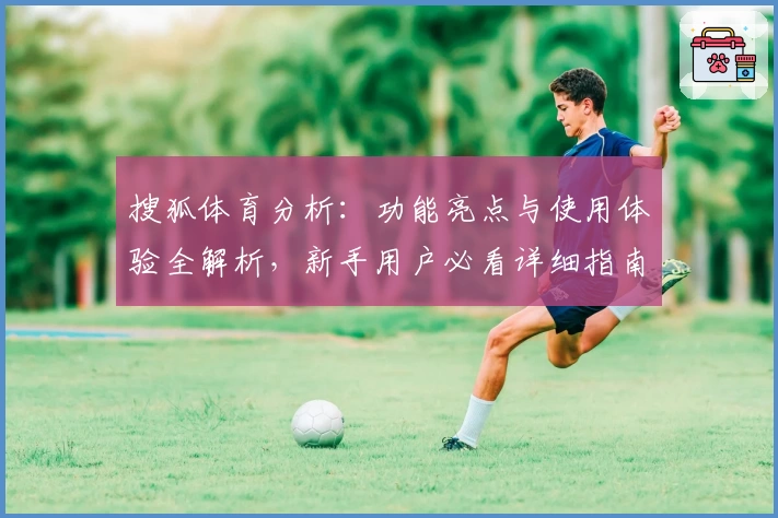 搜狐体育分析：功能亮点与使用体验全解析，新手用户必看详细指南