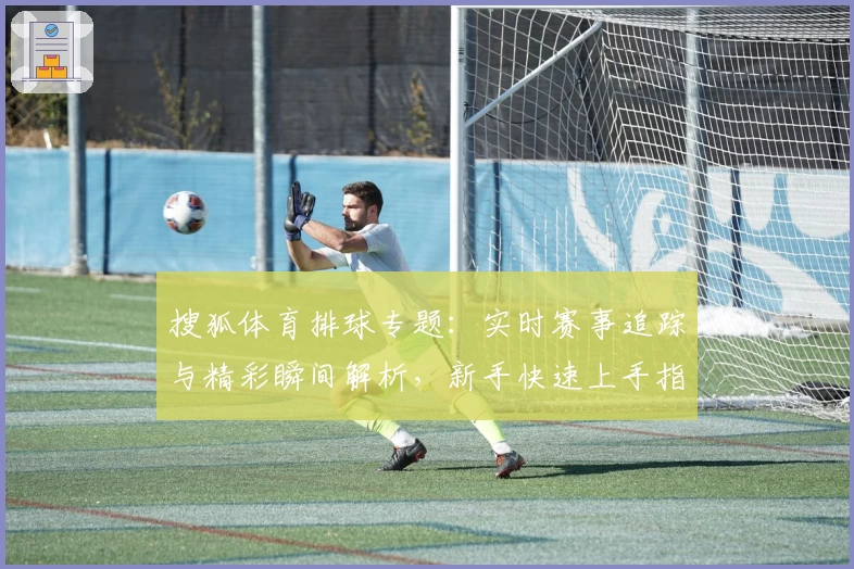 搜狐体育排球专题：实时赛事追踪与精彩瞬间解析，新手快速上手指南