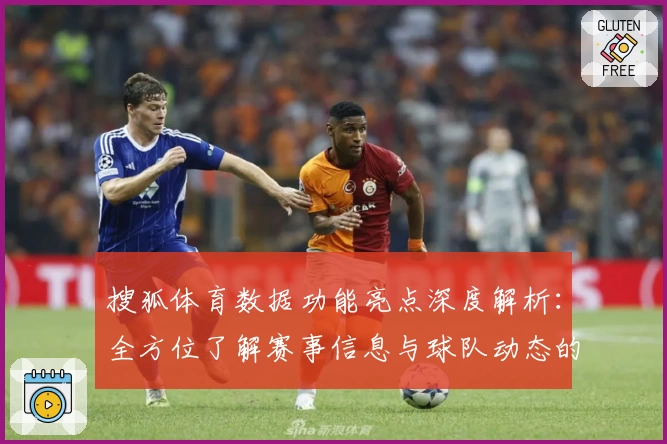 搜狐体育数据功能亮点深度解析：全方位了解赛事信息与球队动态的专业选择