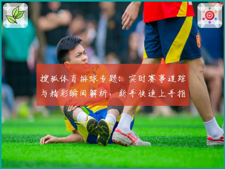 搜狐体育排球专题：实时赛事追踪与精彩瞬间解析，新手快速上手指南